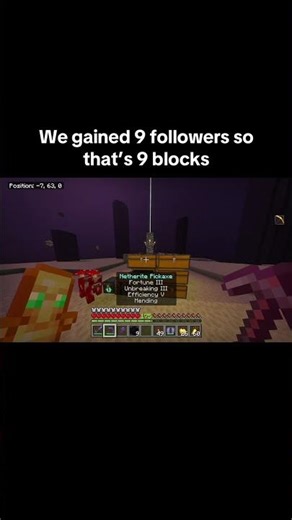 Day 177. #end #minecraft