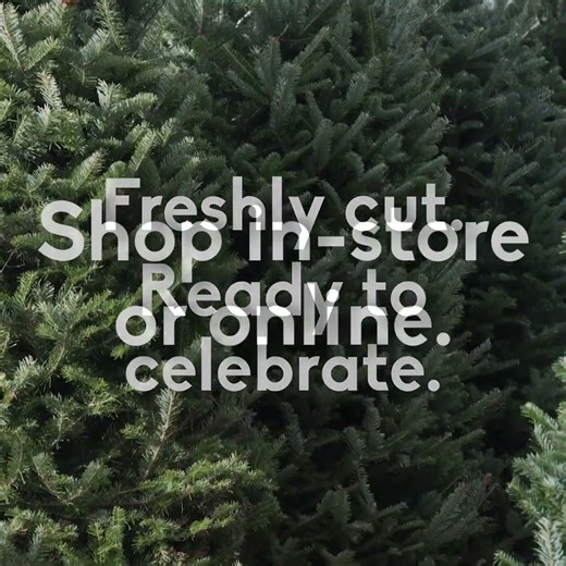 Sheridan Nurseries Fresh Cut Christmas Trees