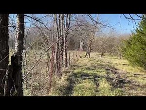 Pros and Cons: Repair or replace and old barbed wire fence.