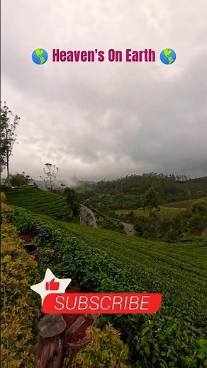 Munnar: The Breathtaking Hill Station You Must Visit