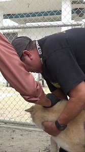 Bruno Informa: y esta vez desde Crucita. Mira lo que nos dice. #programapatitas #crecemosjuntos | Alcaldía de Portoviejo