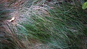 #GoalDay2016 starts now! Lace up and let’s do this. Share photos from your journey today! Haven't joined yet? There's still time! Learn how to start a Goal Day Challenge here: fitbit.com/goal-day | Fitbit