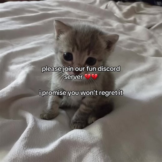 Join the Best Discord Server for Fun and Community