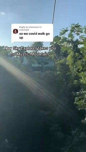 Experience Mystic Mountain Adventure in Jamaica