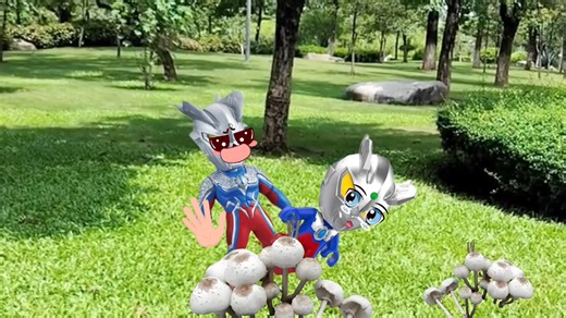 早教启蒙动画视频：野生菌菇别乱采乱吃，可能会致命！