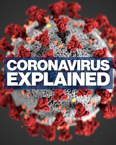 Coronavirus explained