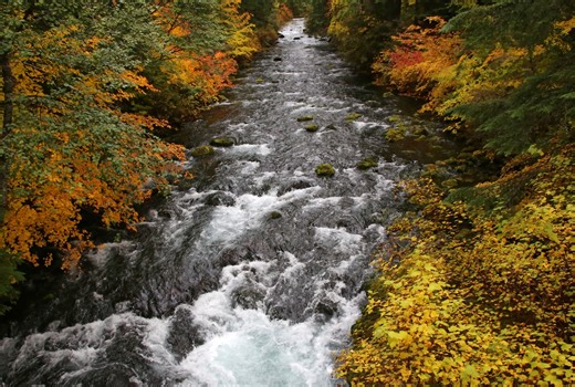 ‘A wonderland of natural attractions’: Why the McKenzie River Trail should top your Oregon bucket list