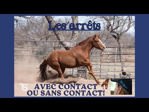 Les arrêts, ce que vous ne devez pas faire!!!