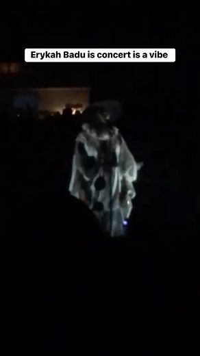 Dope ahh concert #erykahbadu | Steven Riley