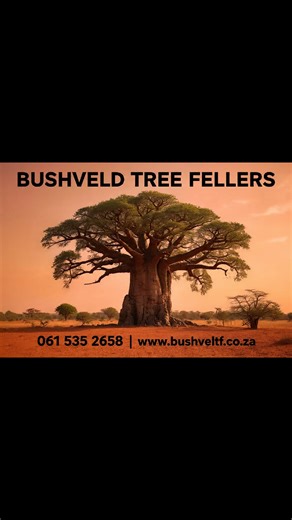 Bushveld Tree Fellers on Reels