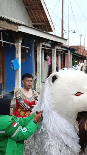 Mabak grab melumpuhkan Canmacan secara singkat bantu kedok cantik