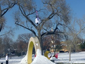 12K views · 431 reactions | Tanner Hall dropping hammers with the trailer for his new film TANNER HALL FOREVER  #frozenambrosia #THallForever | FIS Freeride World Tour | Facebook