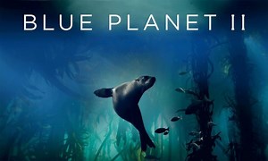 When will Blue Planet 2 be on Netflix?