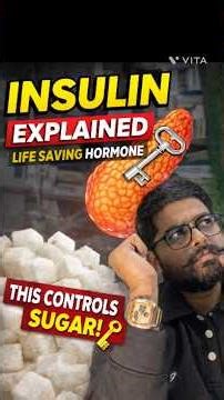 INSULIN HORMONE🧬 : Weight, Diabetes #viral #awareness #facts #news #biology #gk