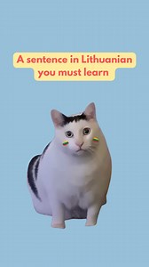 Sometimes Lithuanian words are just too similar 🫣 Can you say this sentence out loud and fast? #lithuanianlanguage #lithuanian #learnlithuanian #литовскийязык #lithuanianteacher | Lithuanian with Dovilė