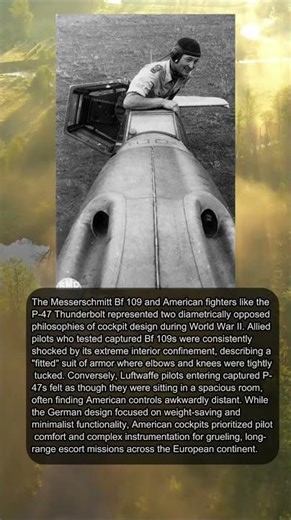 INSIDE THE JUG: A GERMAN PILOT’S MYSTERY 🛋️