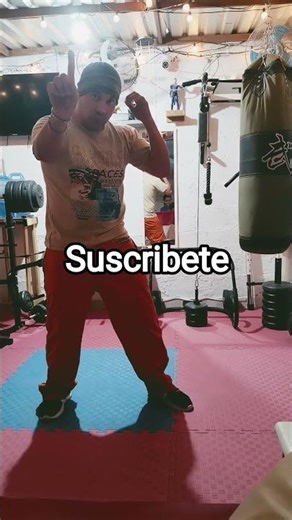 combinaciones para entrenamiento y estadisticas profesional en boxeo