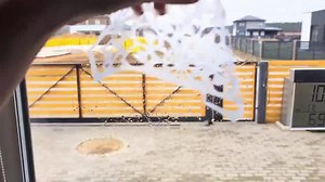 6 Butterfly Window Decals, Frosted Window Clings, Etched Window Stickers, Removable Reusable Window Decoration, Anti Bird Collision Decals - Etsy Australia