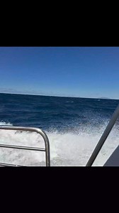 The Skellig Islands on the Wild Atlantic ocean Co.Kerry 💚☘️. Skellig Michael and Skellig Beag (Little Skellig) rise from the sea 🌊 about 12km(8 miles) off the South West Coast of Ireland 🇮🇪. On the summit of Skellig Michael there is a 6th century monastic settlement, where the Monks lived and prayed in bee-hive shaped huts made of stone, many of which remain to this day. The monks believed that by leading a merciful existence , they would leave the distraction of the human realm, to ultimate
