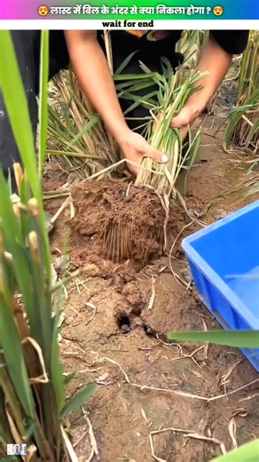 #caughing #fishingtrip #facts #knowledge | Suraj Blogs