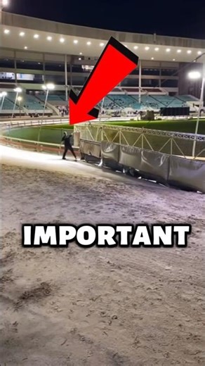 No Sound Needed Just Watch This..😱‼️#shorts