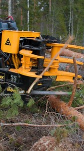 TMK Grapple Saw features electronically lockable grapples for trickier sawing motions, it comes very handy when cutting some branches off. 👌 That however doesn't mean you'll always hit them on first, or the second try... 👀 #Grapplesaw #excavator #forestrymachines #forestryequipment #precision #machinery | TMK Machinery