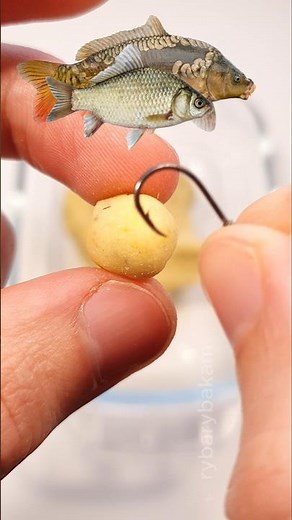 Secret Corn & Semolina Bait! 🌽🌻🎣 | Catch Carp & Panfish (Fried Sunflower Seeds Recipe)
