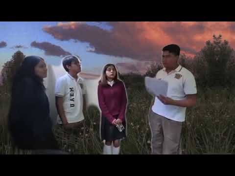 Cultura Ambiental. Trabajo Integrador modulo III