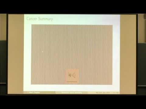 Prof. Mark Chaplain | Multiscale modelling of cancer growth and treatment