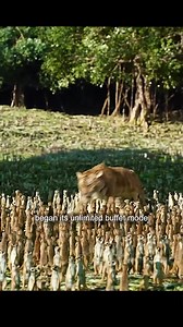 24K views · 530 reactions | Movie Mystique on Reels | Facebook