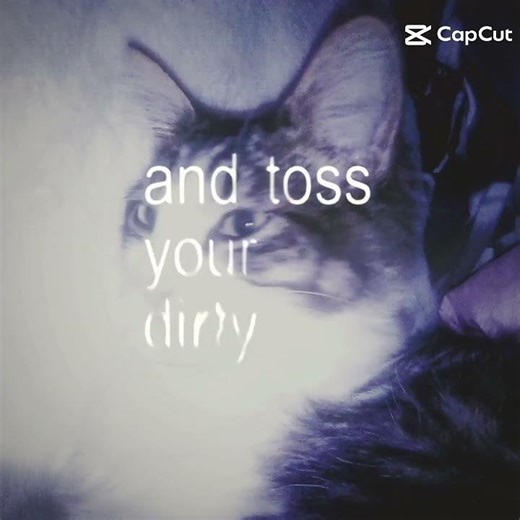 washing machine heart edit