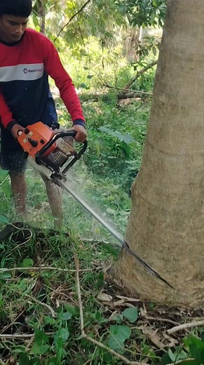 Taronga boy kay naay lube | Gilbert Alicante Vlog