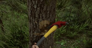 How to get the Firefighter Axe in Sons Of The Forest