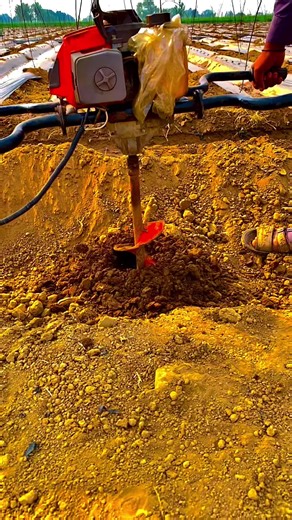 Understanding TikTok Account Freezing Issues