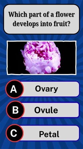 Which part of flower develop into fruits? | Gk Quiz #shorts #gk #gkquestion #gkquestion