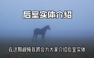 Entity 23 - “触不可及之驹”