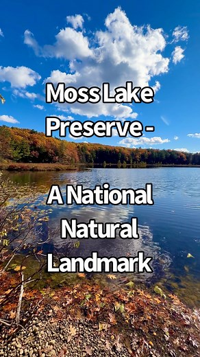 2.3K views · 28 reactions | Moss Lake Preserve might just be one of...