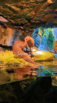 📍海遊館 #観光 #大阪 #水族館