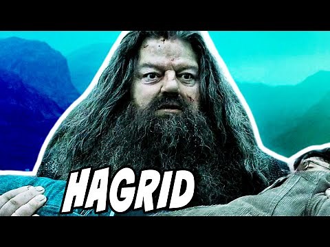 What Happened to Hagrid after the Deathly Hallows? - Harry Potter Explained