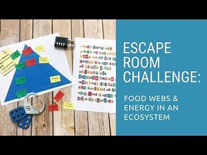 Food Webs and Energy Pyramids Escape Room