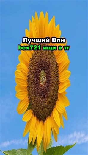 ТОП 3 ЛУЧШИХ БЕСПЛАТНЫХ VPN ДЛЯ ANDROID! 34
