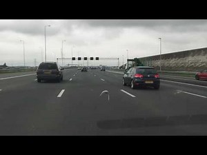 This Racing Pigeon Was Spotted Keeping Up With Motorway Traffic