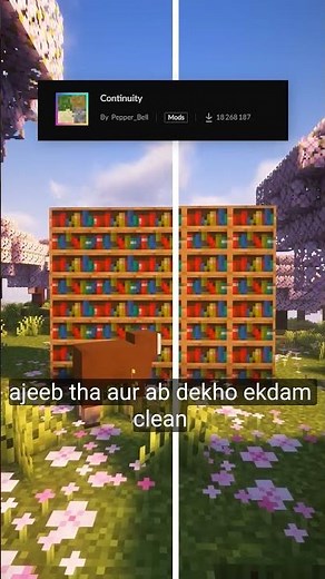 BEST Texture Pack/Mod: Continuity Minecraft #shorts