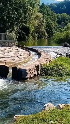 Fiume Bardello#besozzo#shortsvideo