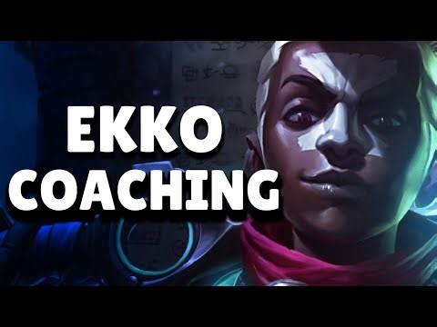bronze EKKO jungle COACHING