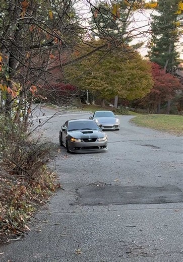 Experience the Power of the New Edge Mustang