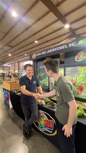 INTERVIEW avec ZOOMED🇬🇧🇫🇷