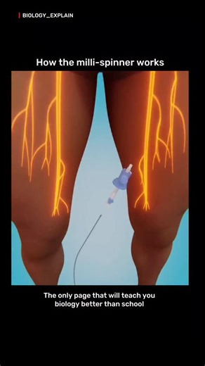 medical / biology explain on Instagram: "Spinning through the body’s hidden highways — the milli-spinner shows how tiny vibrations and micro-movements travel through your nerves, muscles, and spinal pathways. It’s a reminder that even the smallest mechanisms inside us have powerful effects, working constantly to keep us balanced, responsive, and alive. The human body is truly a masterpiece of microscopic engineering. DM for credit l removal For educational purposes only.......... #BiologyExplain