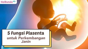 5 Fungsi Plasenta untuk Perkembangan Janin