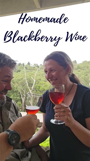 Making Homemade Blackberry Wine #shorts #wine #homemade